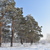 Image-square_50