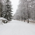 Image-square_50
