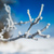 Image-square_50