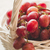 Image-square_50