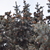 Image-square_50