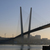 Image-square_50