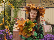 Image-rectangle_220_165