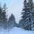 Image-square_50