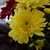 Image-square_50