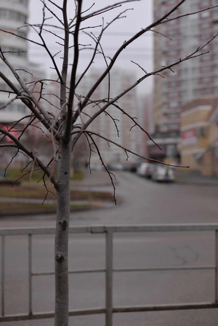 Image-normal