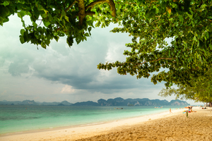 Image-preview_300x200