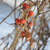 Image-square_50