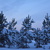 Image-square_50