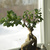 Image-square_50