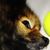 Image-square_50