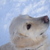 Image-square_50