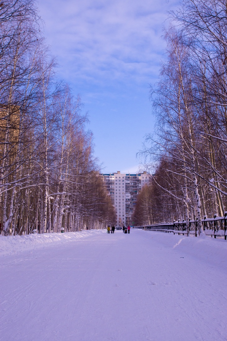 Image-normal