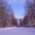 Image-square_50