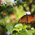 Image-square_50