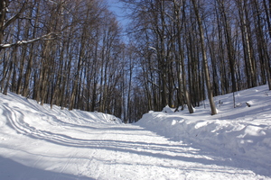 Image-preview_300x200