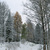 Image-square_50