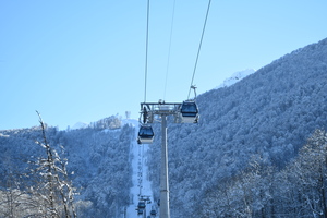 Image-preview_300x200