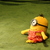 Image-square_50