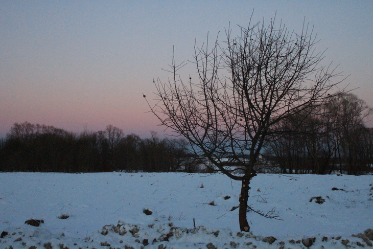 Image-normal