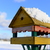 Image-square_50