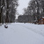 Image-square_50