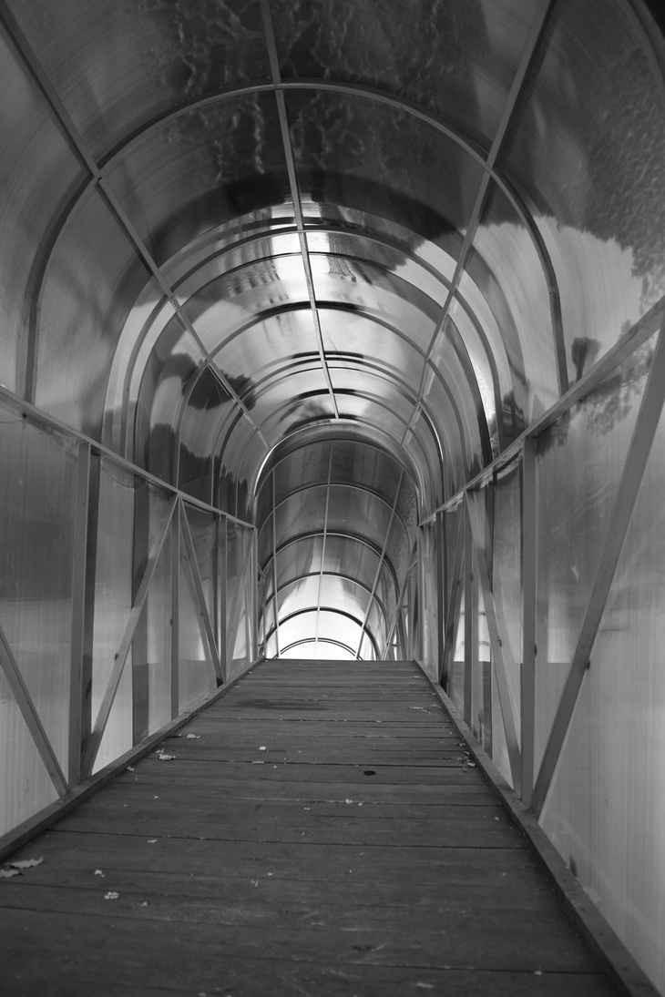 Image-normal