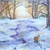 Image-square_50