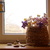 Image-square_50