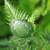 Image-square_50