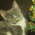 Image-square_50