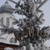 Image-square_50