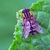 Image-square_50