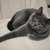 Image-square_50