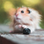 Image-square_50
