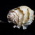 Image-square_50