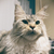 Image-square_50