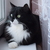 Image-square_50