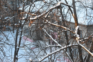 Image-preview_300x200