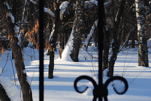 Image-preview_300x200