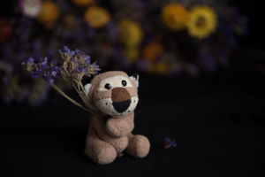 Image-preview_300x200