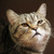 Image-square_50