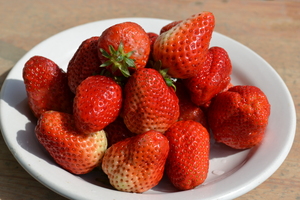 Image-preview_300x200