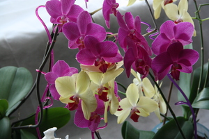 Image-preview_300x200