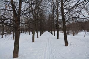 Image-preview_300x200