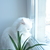 Image-square_50