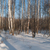 Image-square_50