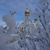 Image-square_50