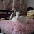 Image-square_50