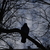 Image-square_50